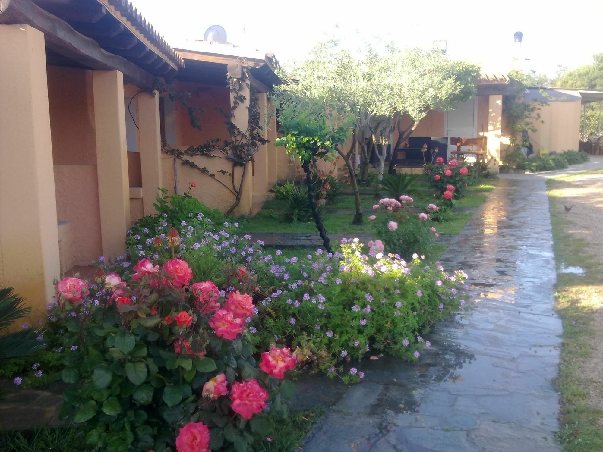 Residence La Pineta Budoni Luaran gambar