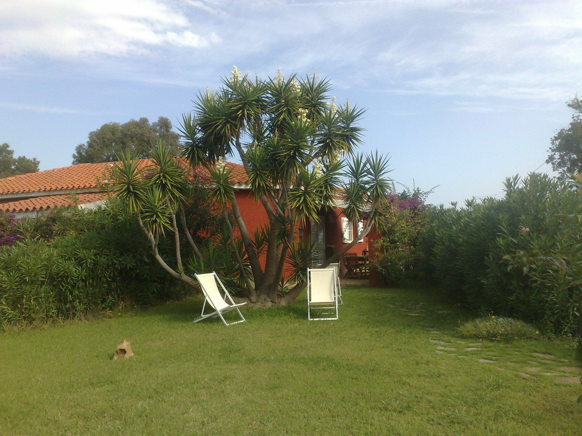Residence La Pineta Budoni Luaran gambar